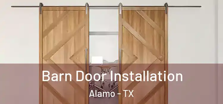  Barn Door Installation Alamo - TX