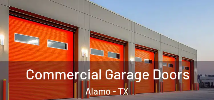  Commercial Garage Doors Alamo - TX