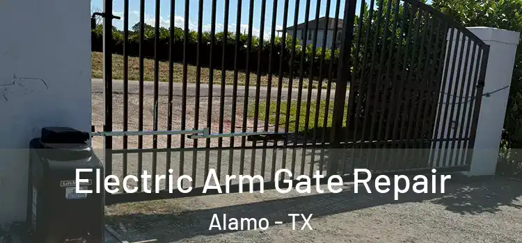 Electric Arm Gate Repair Alamo - TX