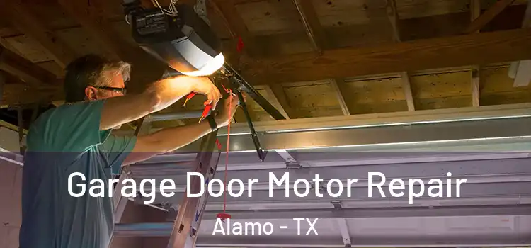  Garage Door Motor Repair Alamo - TX
