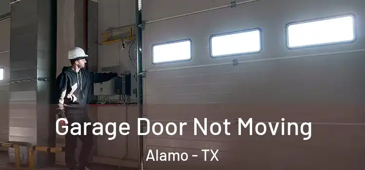  Garage Door Not Moving Alamo - TX
