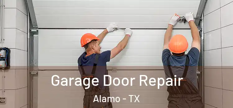  Garage Door Repair Alamo - TX
