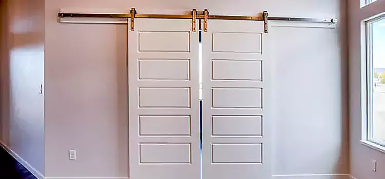 Glass Barn Door with Installation Hardware Kit Alamo