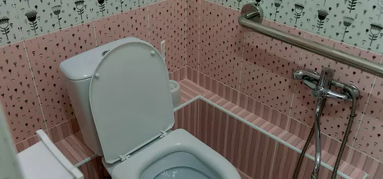 Meeting Diverse Needs With Accessible Restroom Solutions in Alamo, TX