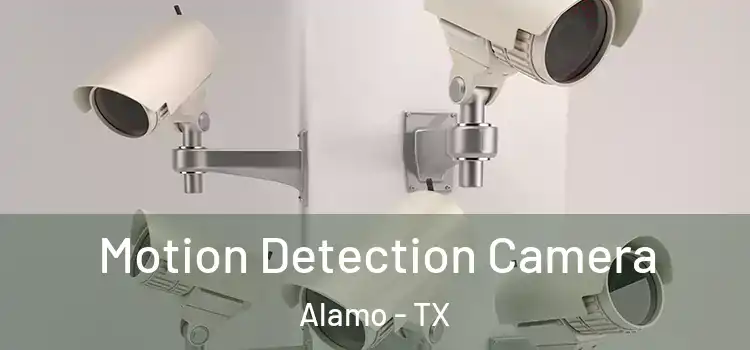  Motion Detection Camera Alamo - TX