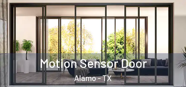Motion Sensor Door Alamo - TX