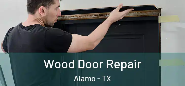 Wood Door Repair Alamo - TX